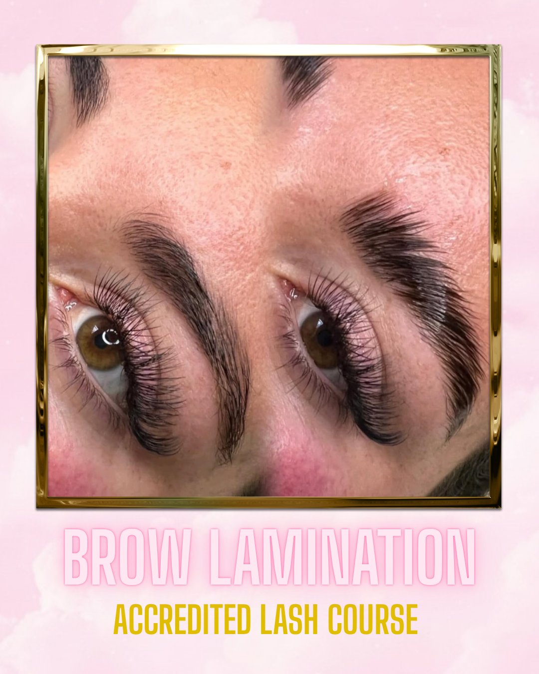 BROW LAMINATION COURSE